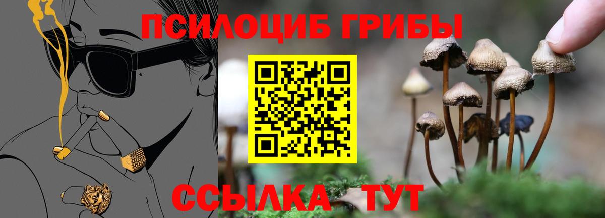 Псилоцибиновые грибы Magic Shrooms  Вход с VPN  Кимры 